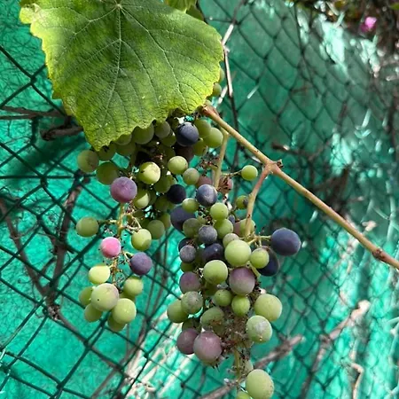 La Du Soleil Beausoleil